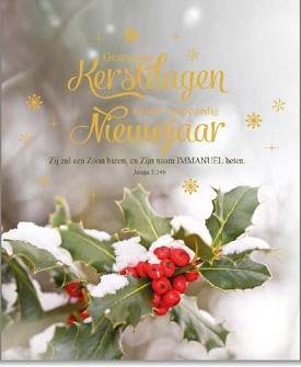 Kerstkaarten 9561